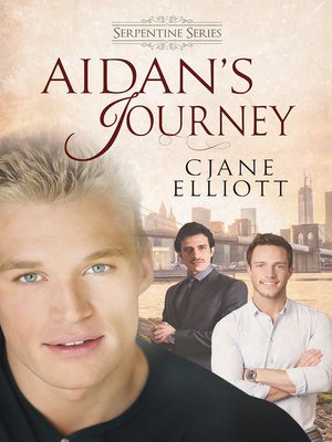 cover image of Aidan's Journey